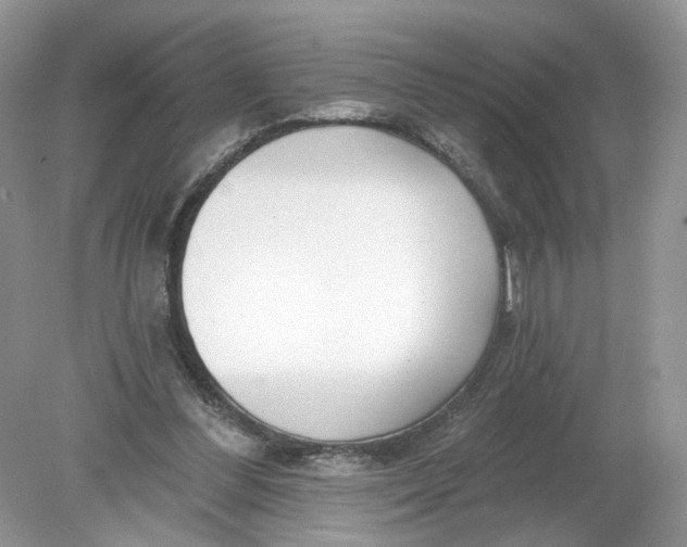 X0000078890300200612042057