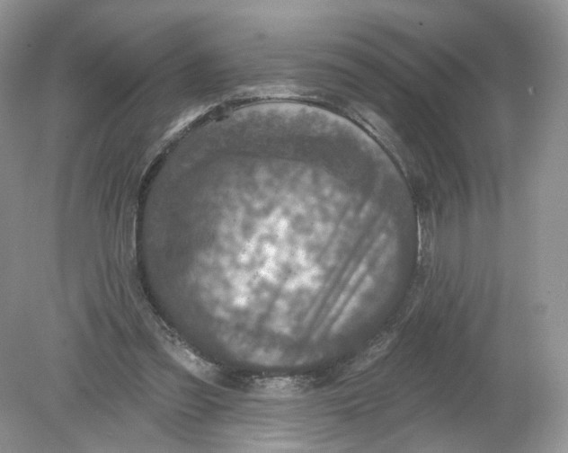 X0000078890301200612042057