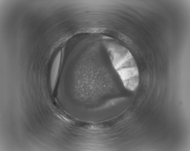 X0000078890303200612042057