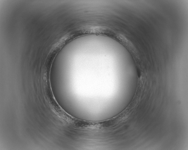 X0000078890306200612042057