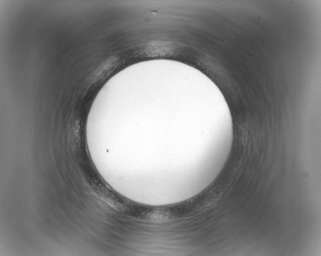 X0000078890308200612042057