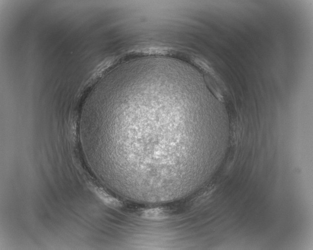 X0000078890309200612042057