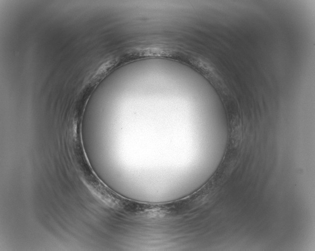 X0000078890310200612042057