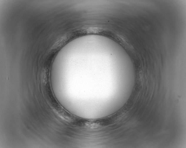 X0000078890311200612042057