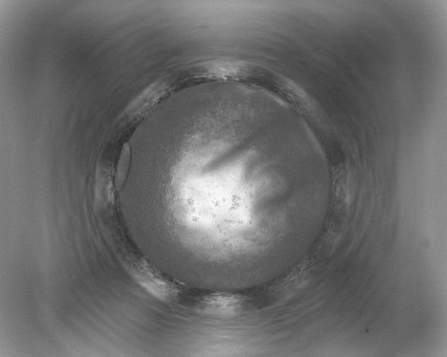 X0000078890313200612042057