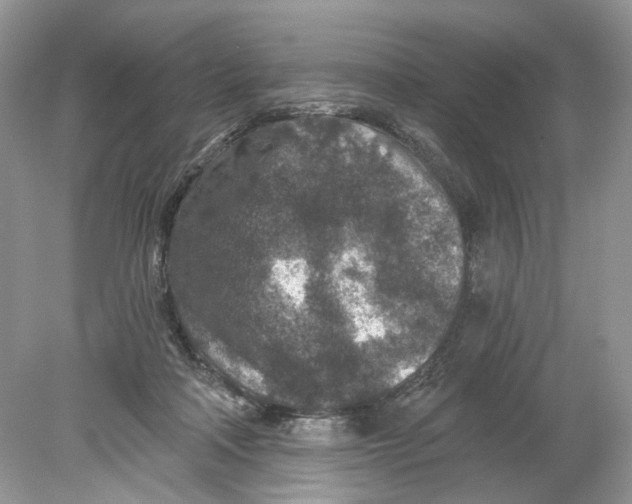 X0000078890314200612042057