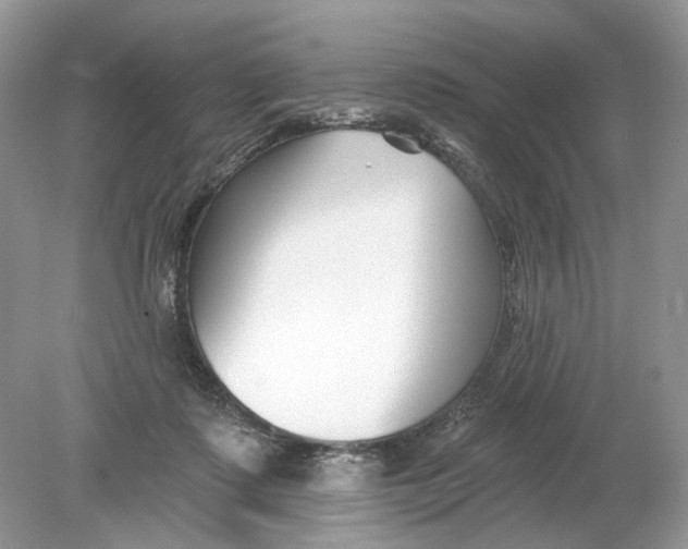 X0000078890315200612042057