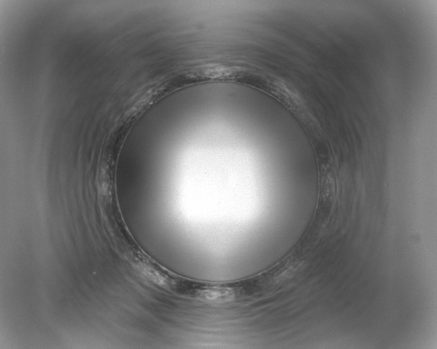 X0000078890317200612042057