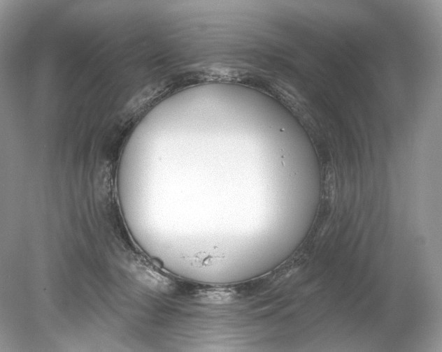 X0000078890318200612042057