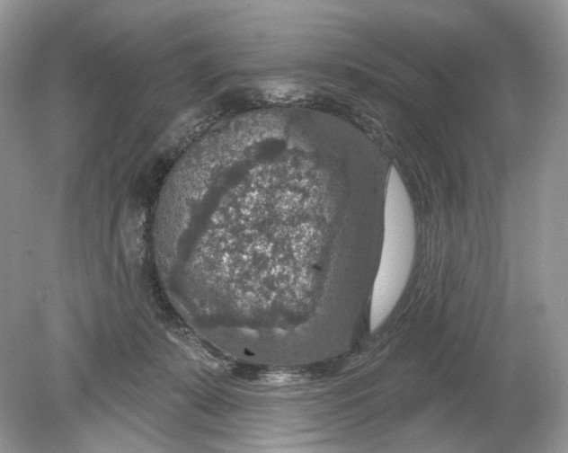 X0000078890319200612042057