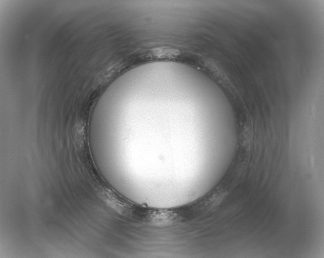 X0000078890321200612042057