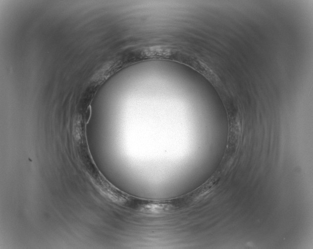 X0000078890323200612042057