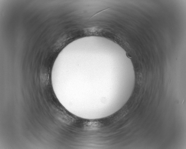 X0000078890324200612042057