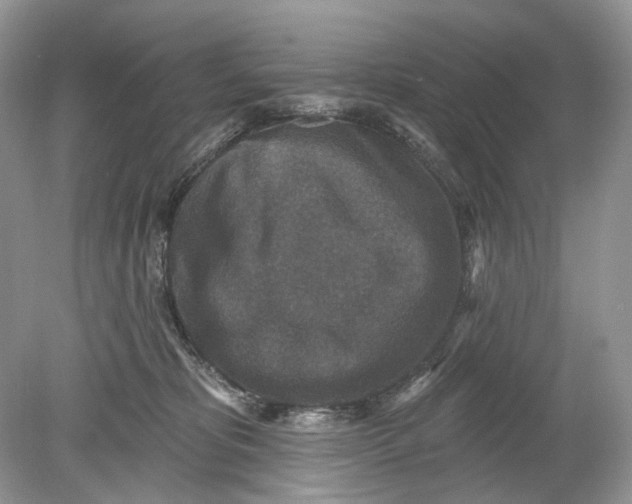 X0000078890325200612042057