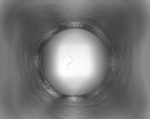 X0000078890326200612042057