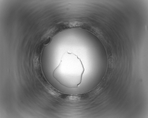 X0000078890327200612042057