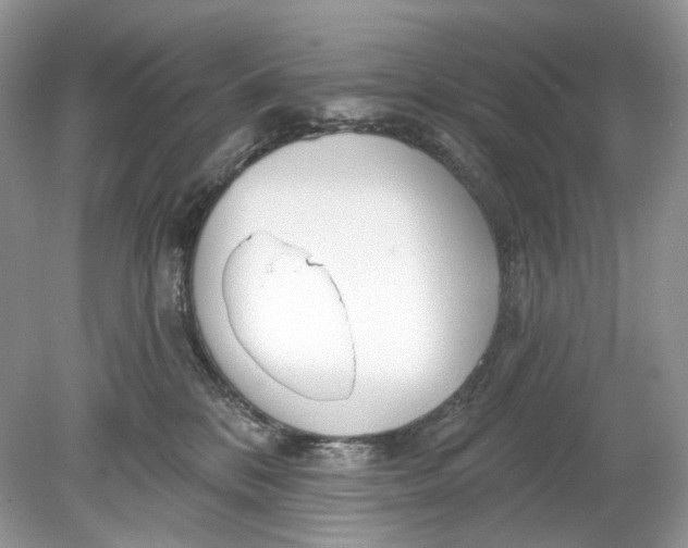 X0000078890328200612042057