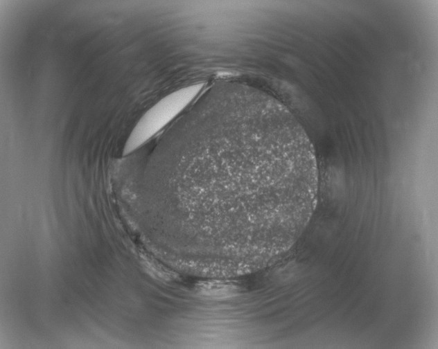 X0000078890331200612042056