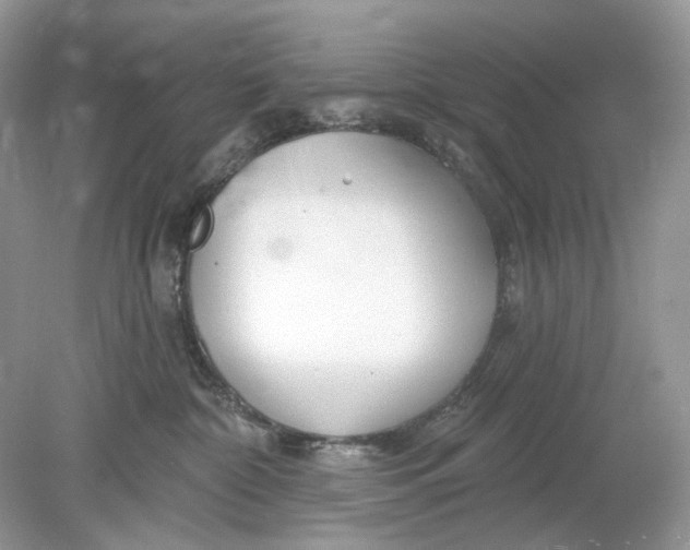 X0000078890332200612042056