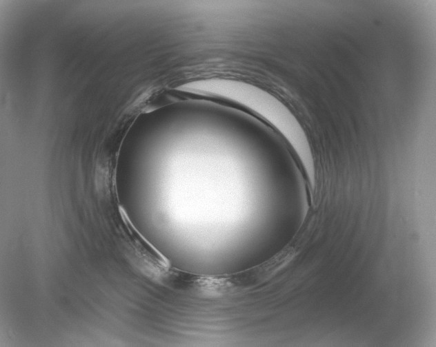 X0000078890333200612042056