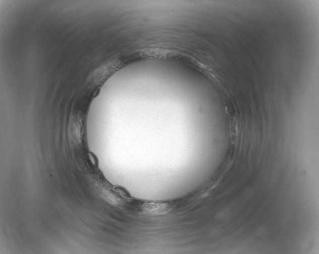 X0000078890334200612042056