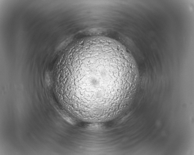 X0000078890335200612042056