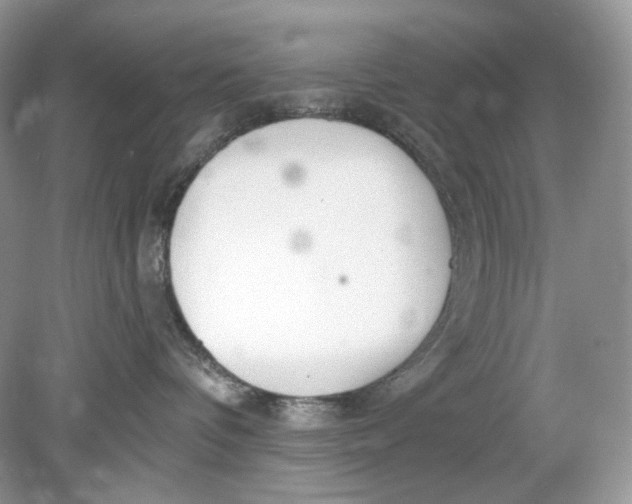 X0000078890336200612042056