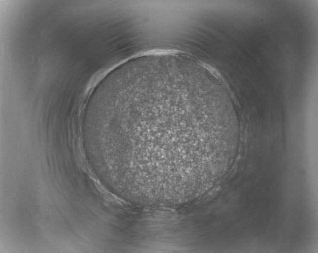 X0000078890337200612042056