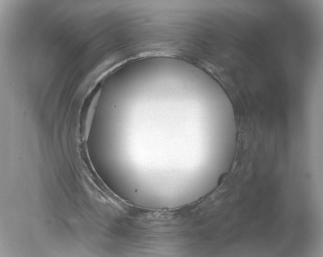 X0000078890338200612042056