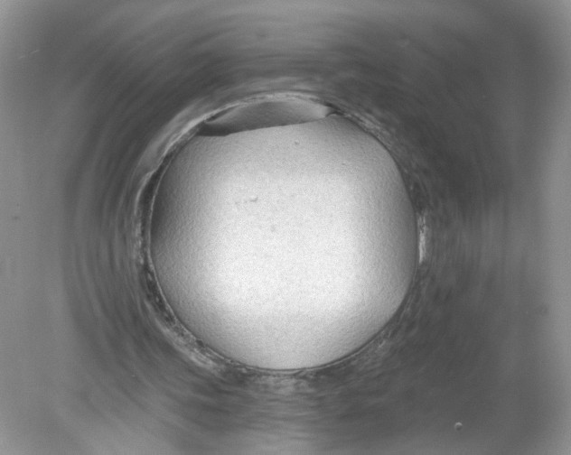 X0000078890339200612042056