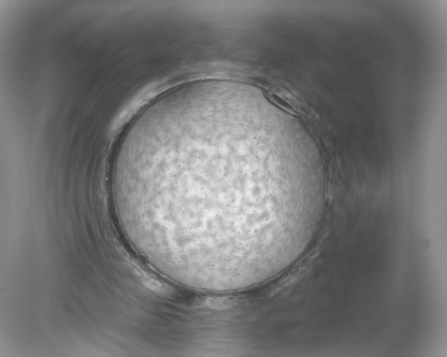 X0000078890341200612042056