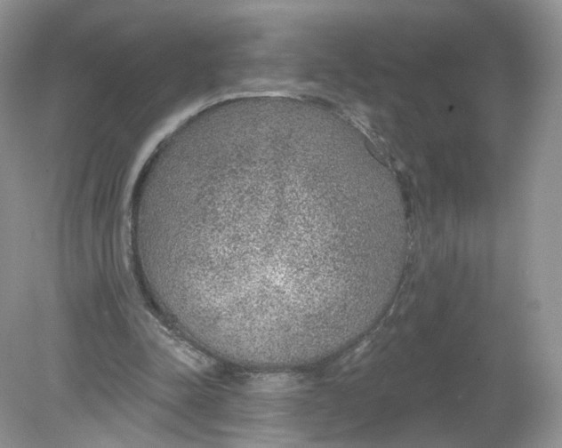 X0000078890342200612042056