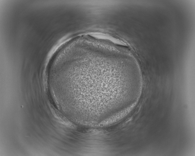 X0000078890343200612042056