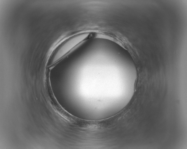 X0000078890344200612042056