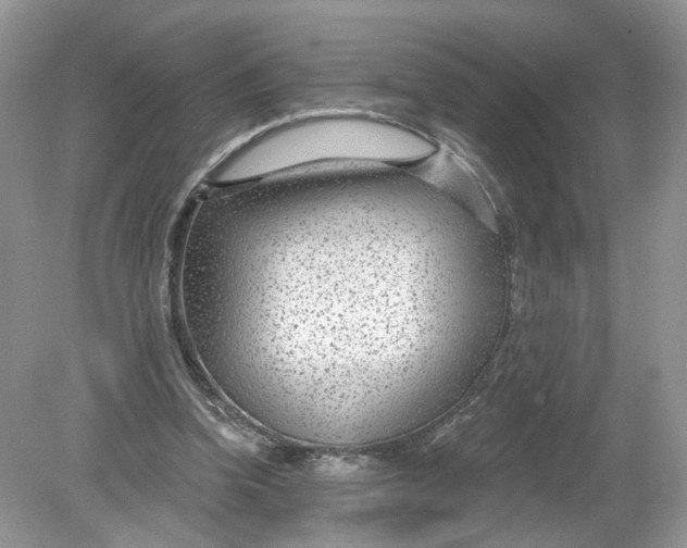 X0000078890346200612042056