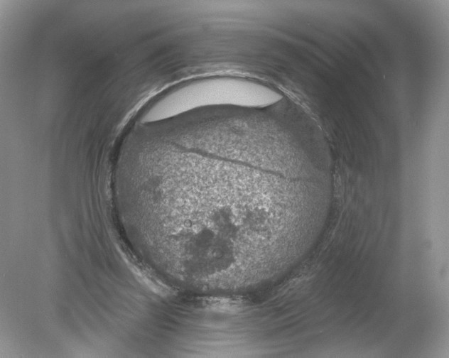 X0000078890347200612042056