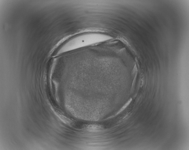 X0000078890348200612042056