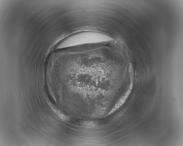 X0000078890349200612042056