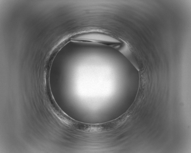 X0000078890350200612042056