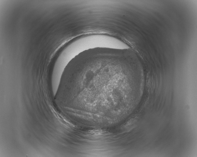 X0000078890351200612042056