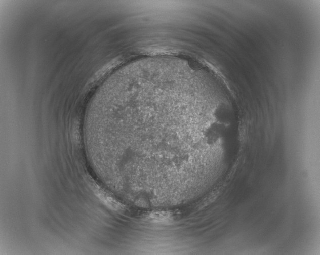 X0000078890353200612042056