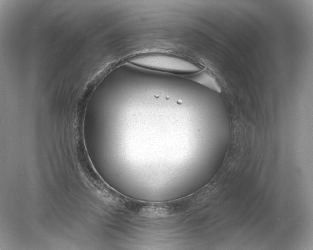 X0000078890354200612042056