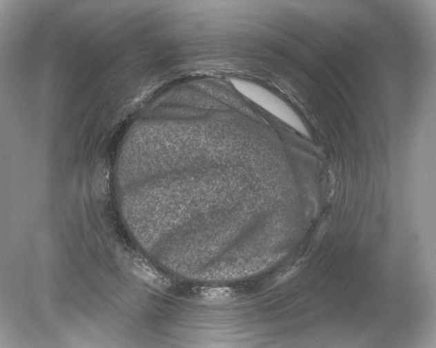 X0000078890355200612042056