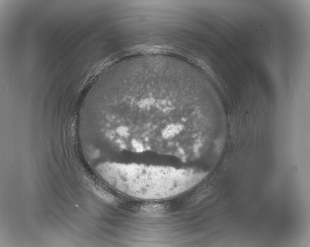 X0000078890357200612042056