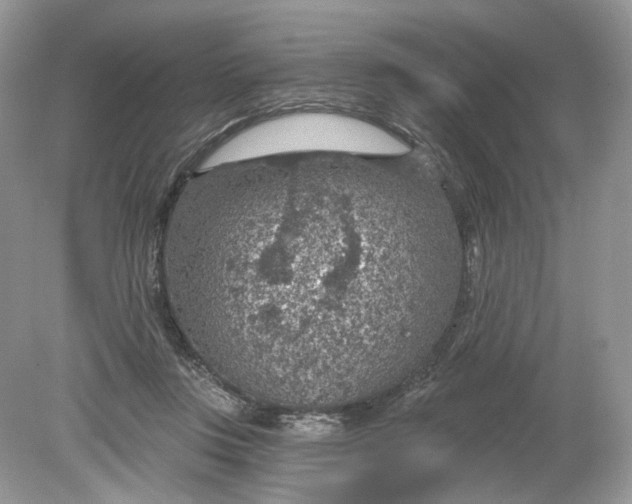 X0000078890359200612042056