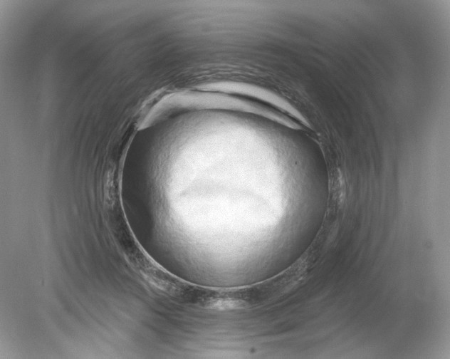 X0000078890360200612042056