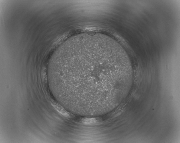 X0000078890361200612042056