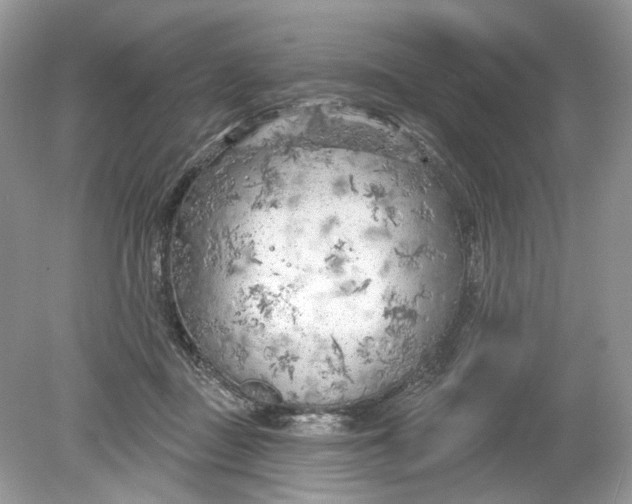 X0000078890363200612042056