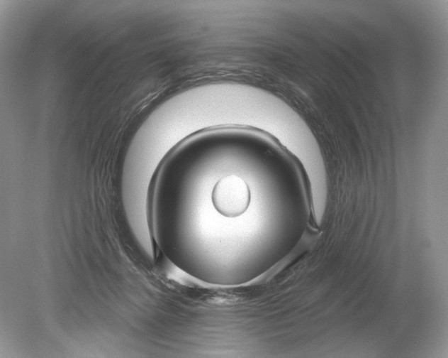 X0000078890364200612042056