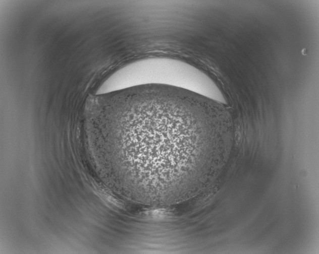 X0000078890365200612042056